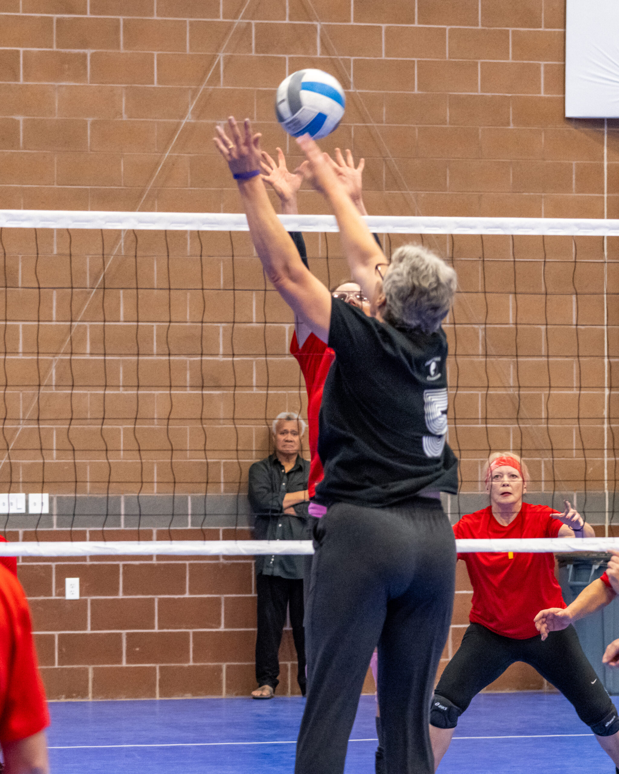 World Senior Games Volleyball